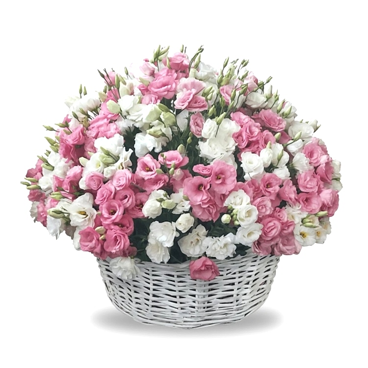 Large Pink & White Lisianthus Basket - Flower Baskets