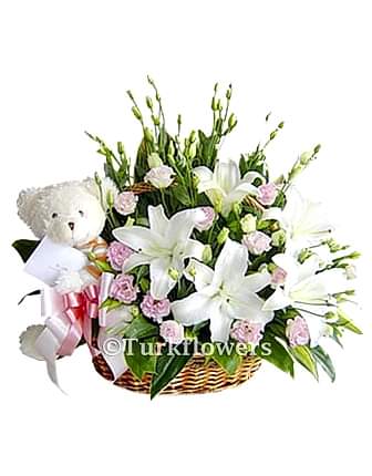 New Baby flower - Lilies