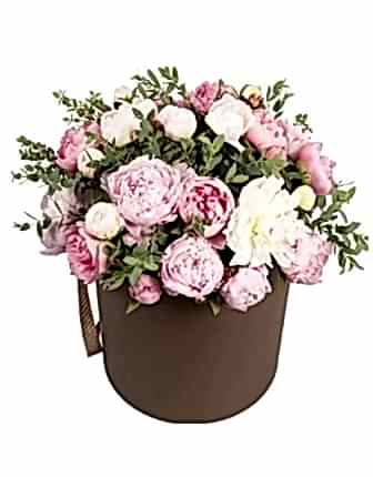 21 Peony in Box - Peony