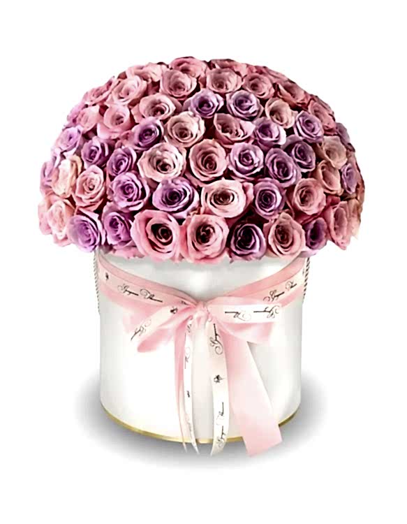 Luxury Cylinder Box with Long Stem Roses - Congratulations Flowers