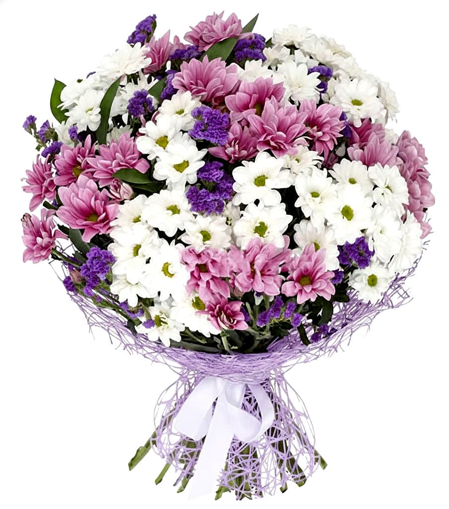 Pink and White daisy bouquet - Get Well Soon Flowers