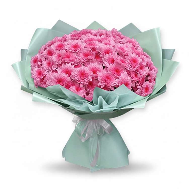 15-Stem Pink Chrysanthemum Bouquet - Congratulations Flowers