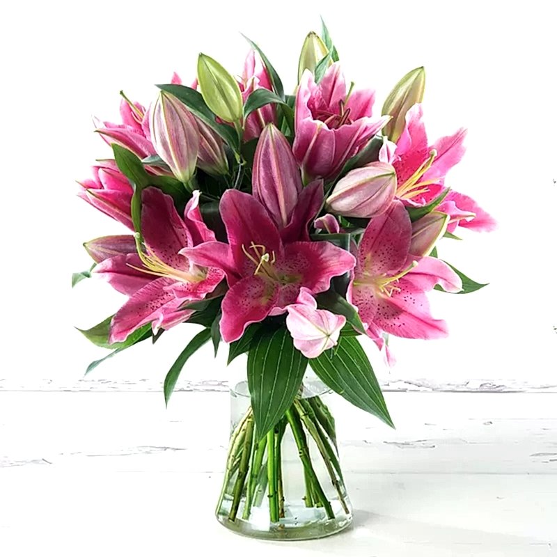 Pink Lilies in a Vase - Lilies