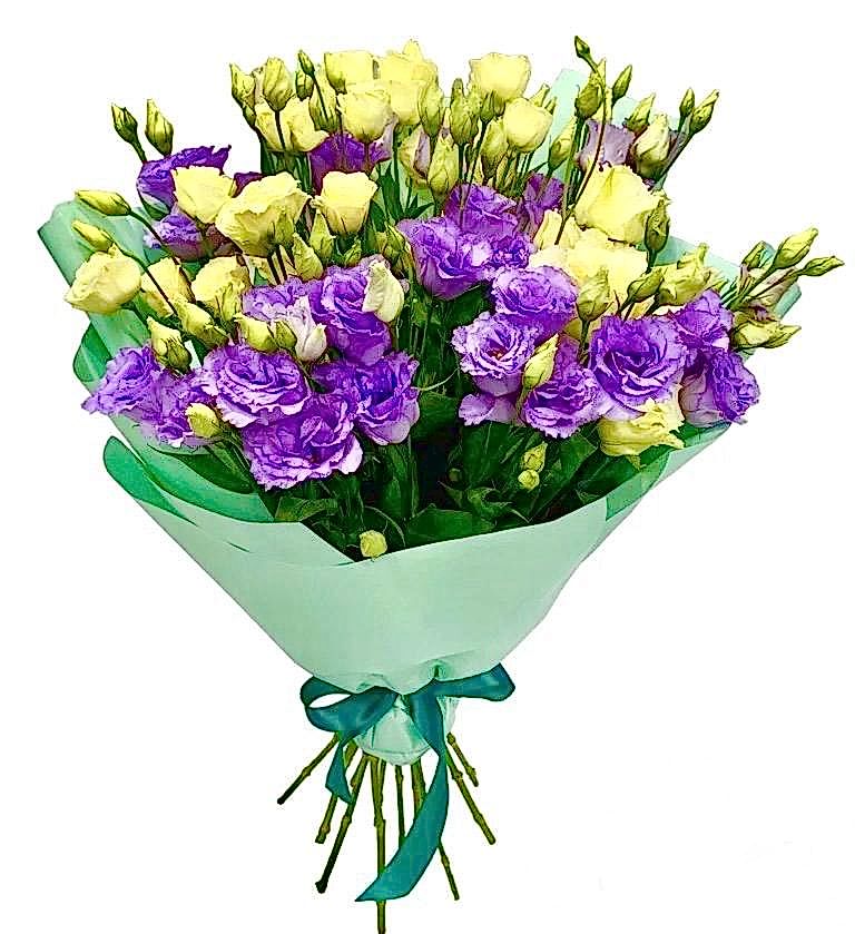 Pink and White Lisianthus - Lysianthuses