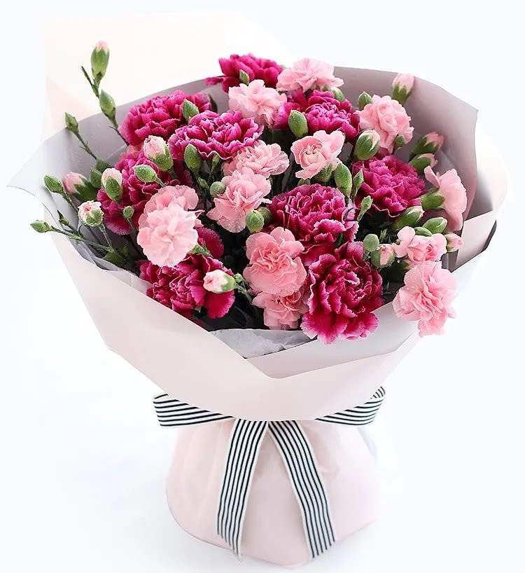Spray Carnation - Women's Day Flowers