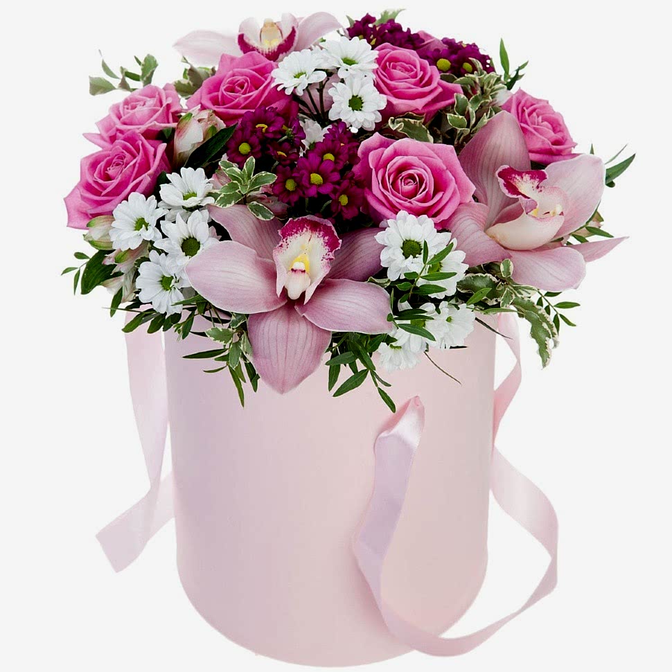 Pink Orchid & Rose Harmony Box - Congratulations Flowers
