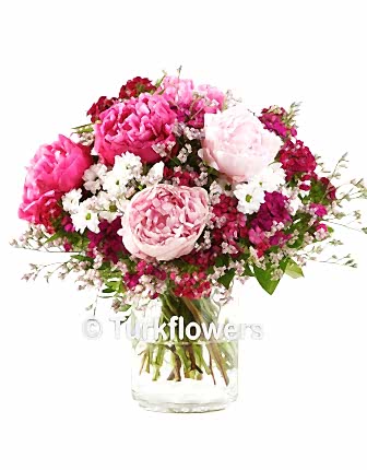 Blossom Dream - Congratulations Flowers