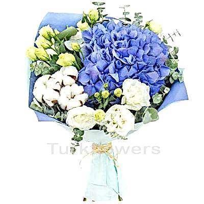 Blue Hydrangea & Cotton Bouquet - Congratulations Flowers