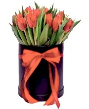 21 Red tulips in box - Congratulations Flowers