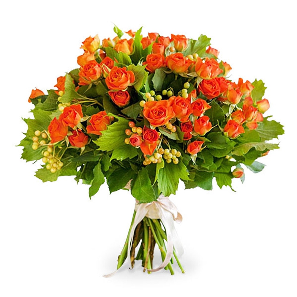 12 Spray Orange Roses - Congratulations Flowers