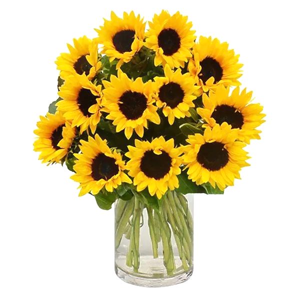Sunflowers in vase - Sunflowers