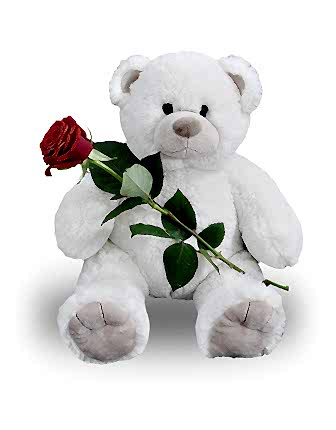 Tedy Bear and Red Roses - Gift & Flowers