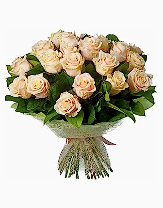 25 Creamy roses - Roses
