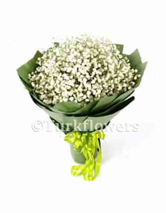 Cipsofilia - Congratulations Flowers