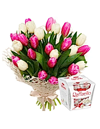 25 Fresh white and pink tulips - Birthday Flowers