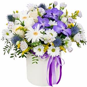 Purple Charm Flower Box - Congratulations Flowers