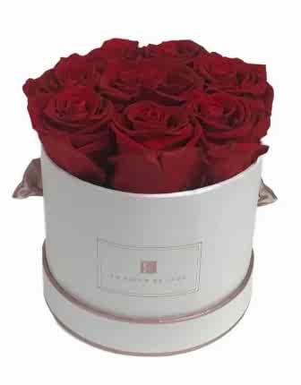 8 Red Long Lasting Roses - Women's Day Flowers