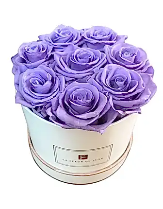8 Lilac Long Lasting Roses - Birthday Flowers