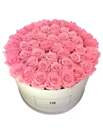 42-46 Pink Long Lasting Roses - Congratulations Flowers