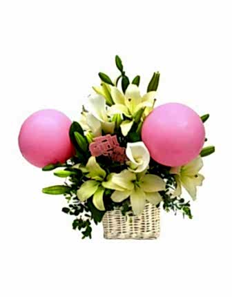 Girl New Baby Flowers Girl New Baby Flowers - New Baby Flowers