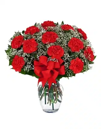 12 Red Carnations - Women's Day Flowers