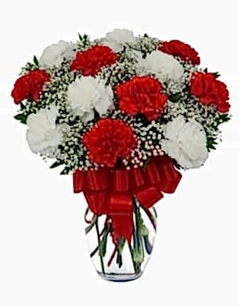 12 Red and White Carnations - Im sorry flowers