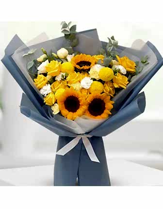 Sumqayıt sun - Sunflowers