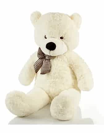 Tedy Bear 70 cm - Gift & Flowers