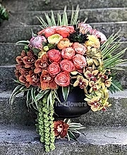 Luxury Orchid & Ranunculus Arrangement - Congratulations Flowers
