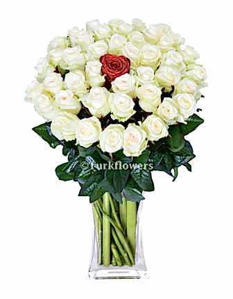 50 White Roses + 1 Red roses - Congratulations Flowers