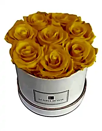 8 Yellow Long Lasting Roses - Congratulations Flowers