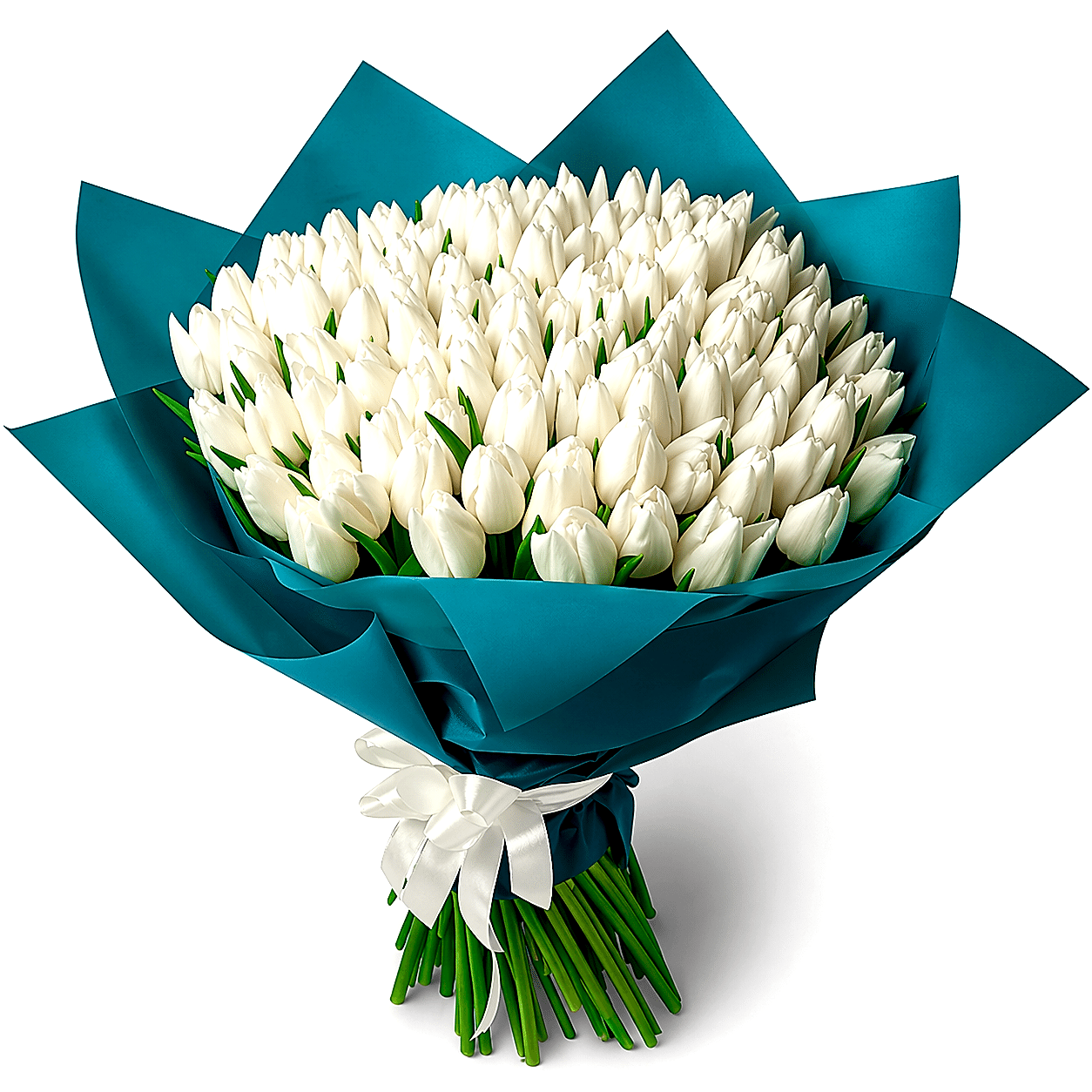 Pure Luxury – 101 White Tulips Bouquet - Tulips