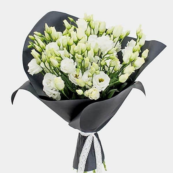 White Eustoma - Lysianthuses