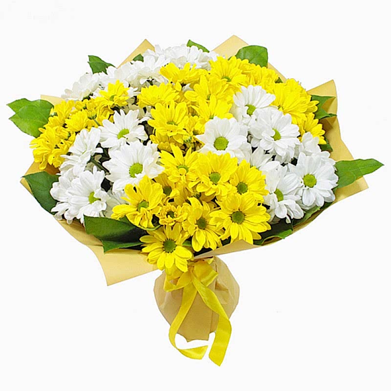 Yellow and white daisy - Get Well Soon Flowers