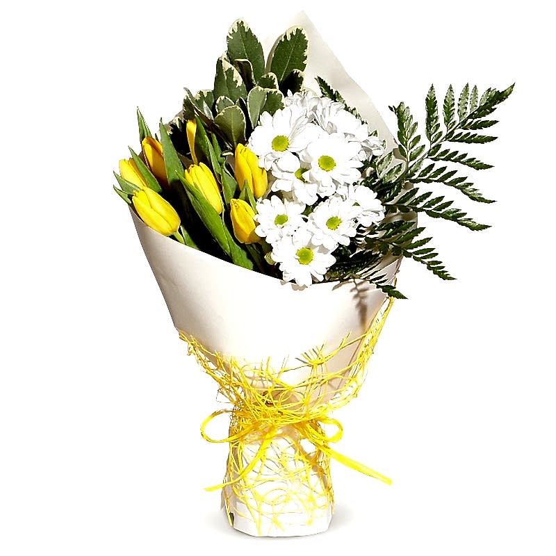 Tulips and Daisy - Birthday Flowers